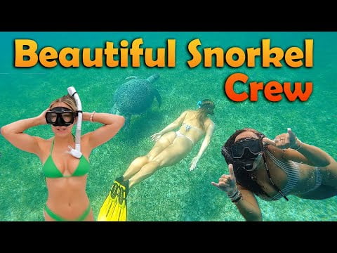 beautiful-snorkel-w-new-returning-crew-s6e45