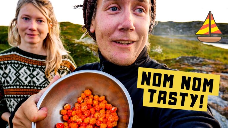 we-sail-across-the-arctic-circle-find-a-cloudberry-paradise-ep25