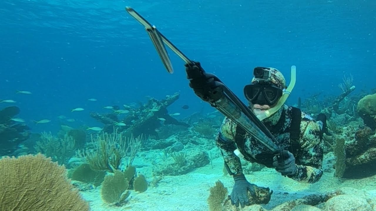 these-fish-arent-going-to-spear-themselves