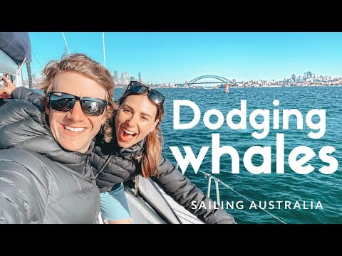 we-almost-hit-a-whale-off-sydney-australia-ep-9