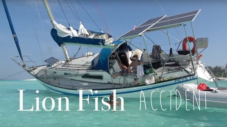 emergency-at-sea-lion-fish-accident