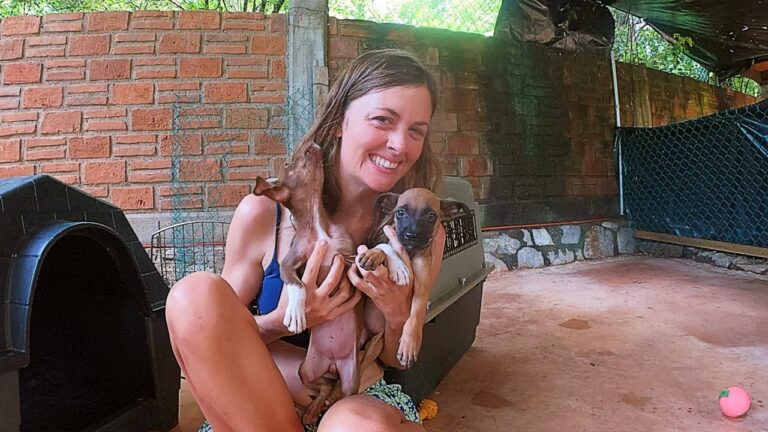 surfing-saladita-and-saving-pups-surfers-for-strays-chuffed-special