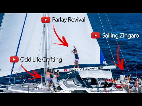 three-sailing-vlogs-two-sailing-dogs-one-epic-video