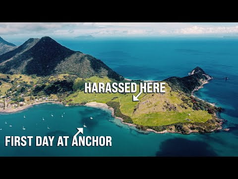 first-day-at-anchor-harassed-by-bullies-%f0%9f%90%82