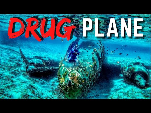 we-found-a-sunken-drug-plane-sailing-life-on-jupiter-ep-67