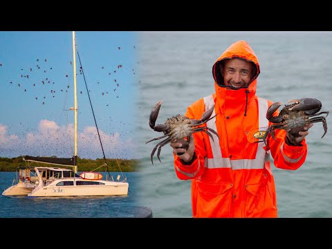 fraser-island-mud-crabs-%f0%9f%a6%80-sailing-popao-ep