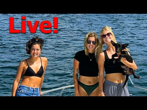 live-w-a-new-puppy-and-crew