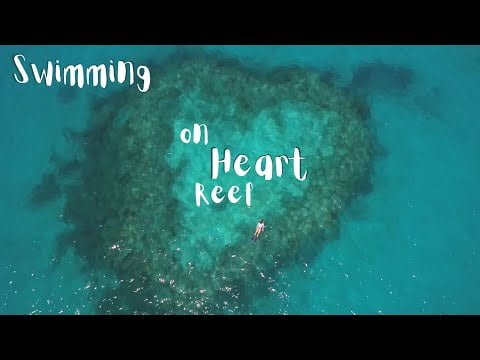 Swimming Heart Reef, Australia - SAILING and YACHTING