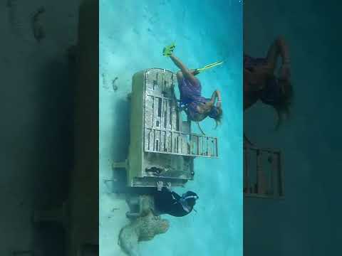 found-a-piano-and-mermaid-underwater-in-the-bahamas-mermaid-piano