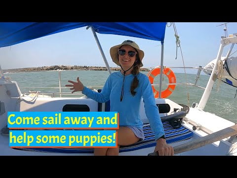 come-sailing-with-us-finally-and-help-save-puppies-chuffed-adventures-s4ep27