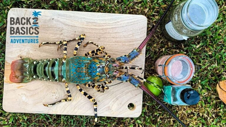 how-to-cook-lobster-2-ways-%f0%9f%94%a5-popcorn-crayfish