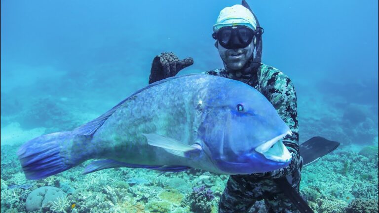 1-week-at-sea-spearfishing-our-food-b2b