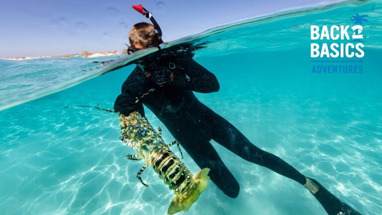 giant-lobster-crazy-nature-encounters-while-spearfishing-catch-clean-cook-teamseas