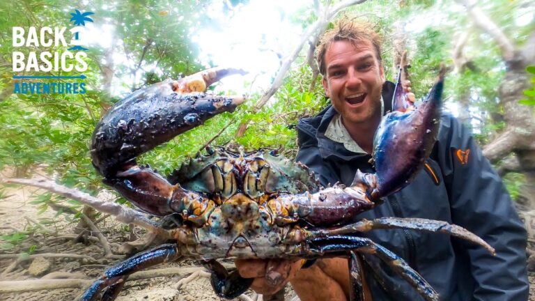 giant-mud-crabs-catch-cook-surviving-on-uninhabited-island-australia-the-great-adventure-ep-3