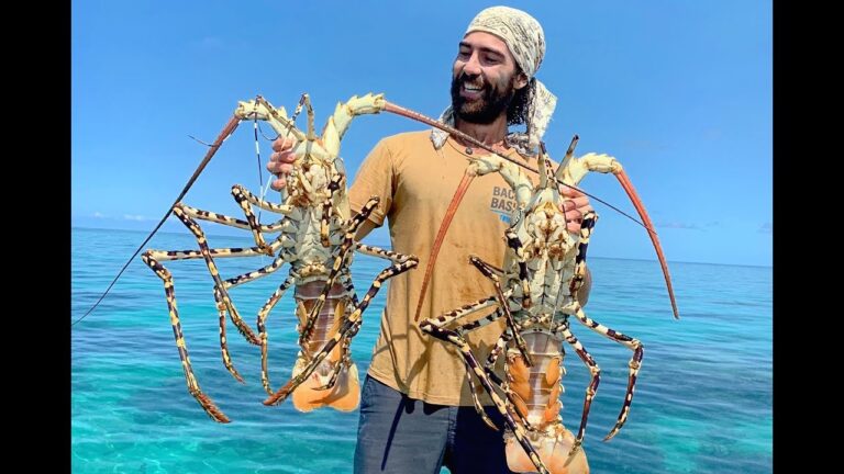 monster-lobster-wrangled-on-the-great-barrier-reef-australia-b2b-ep-13