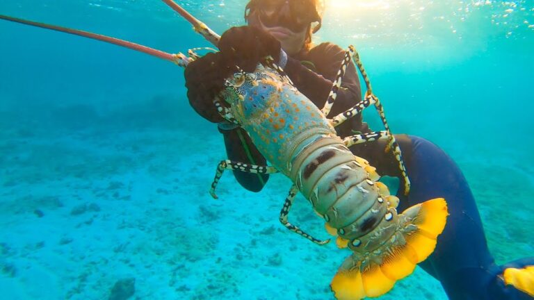 giant-lobster-catch-camping-spearfishing-australia-day-3