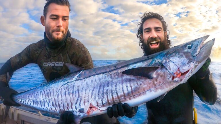 spearfishing-living-on-the-ocean-big-mackerel-manta-rays