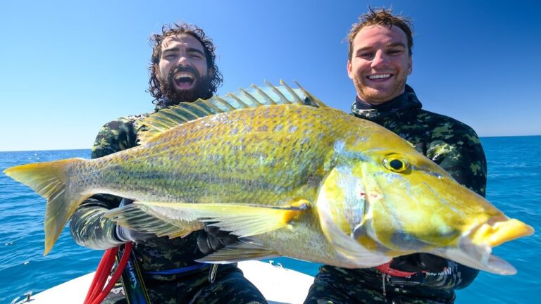 spearfishing-australias-best-reef-fish-back-2-basics-ep-23