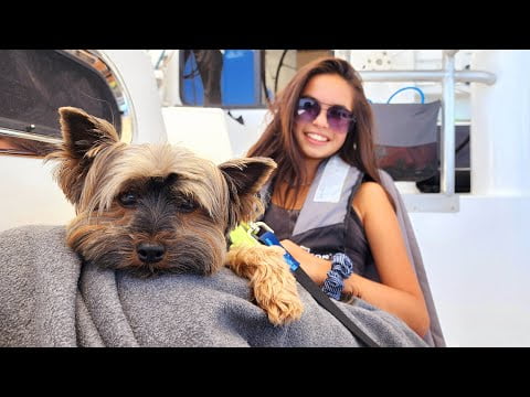Sea of Cortez Crossing - Onboard Lifestyle ep.212