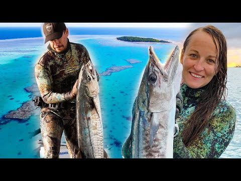 Life at the Reef: Mackerel & Mantas (Sailing Popao) Ep.11