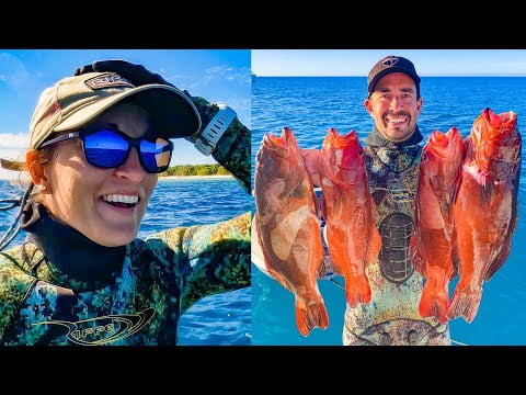 Living off the Reef at Lady Musgrave 🐠 🐢 🐋 ⚓️ (Sailing Popao) Ep.12