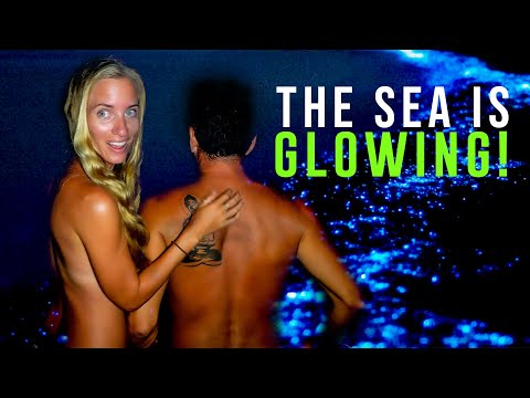 Skinny Dippin’ In Bioluminescent ALGAE 😱 (Strangest Experience Ever!) Sailing Vessel Delos Ep. 380