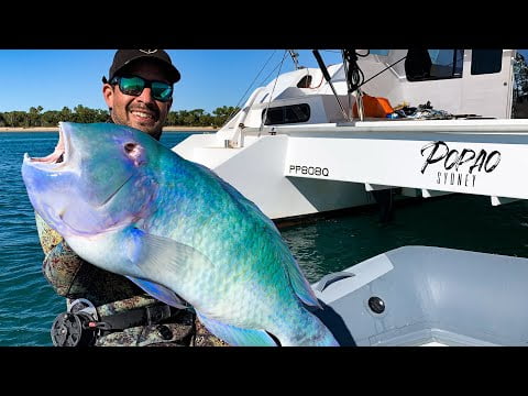 Spearfishing a BIG Black Spot Tusk Fish (Sailing Popao) Ep.14