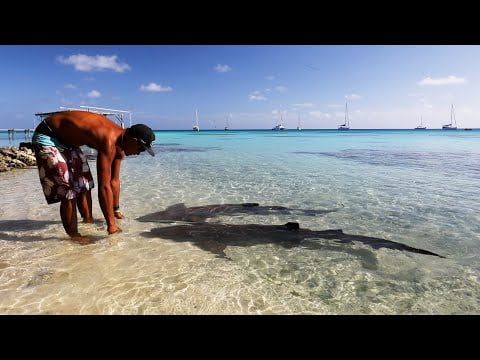 The SHARK WHISPERER of Fakarava | Tranquilo Sailing Around the World | Ep.92