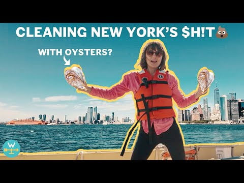 CLEANING UP NEW YORK’S TOXIC WATERWAYS