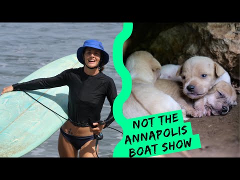 NOT at the Annapolis Boat Show : Chuffed Adventures S4Ep39