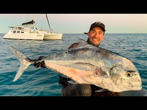 Spearfishing Dream fish on the Great Barrier Reef! (Sailing Popao) Ep.17