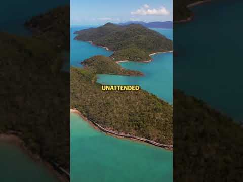 Could you live on this ABANDONED ISLAND?! 🏝️🏠