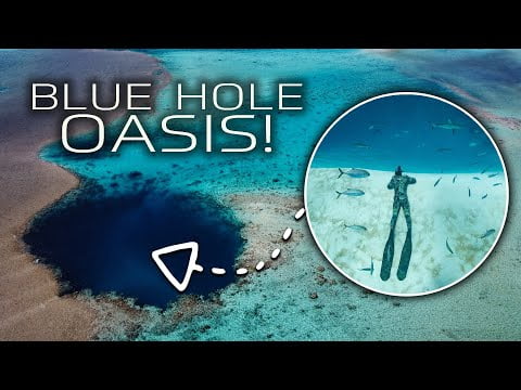 The MOST INSANE place we've EVER dived... (Sailing Popao) Ep.21