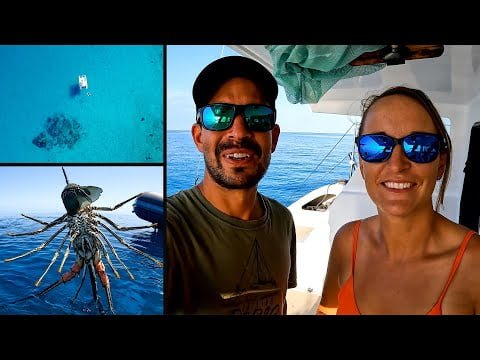 Jess lands on a Crayfish, only on the Great Barrier Reef (Sailing Popao) Ep.25