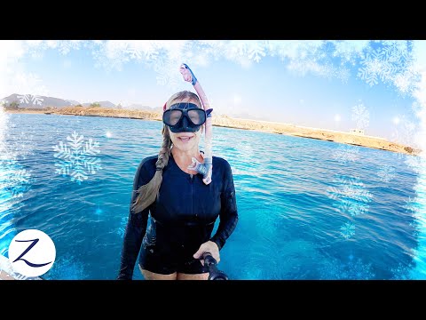 WINTER IN EGYPT? (it's not what you think!) Red Sea Sailing (Ep 222)