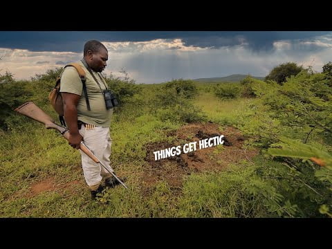 Close calls on an African Safari!