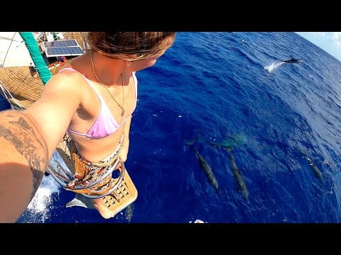 GIRL Sails With A POD Of 100 SPINNER DOLPHINS Off The COAST Of CUBA!! We Catch A MAHI!! S3:E4