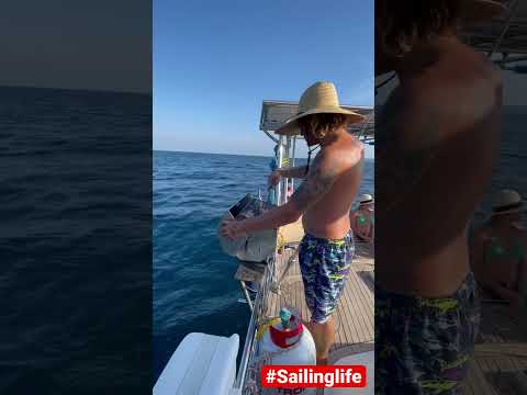 Grilling Snapper while flying the Spinnaker #bestlife