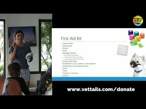 Pet First Aid for Dog and Cats on Boats - Chuffed Special