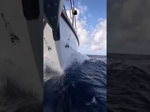 Rough SEAS 🌊⛵️#southpacific #oceansailing #travel