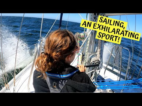 Female Captain sails across the Sea of Cortez with a Dog! Chuffed Adventures S5Ep11