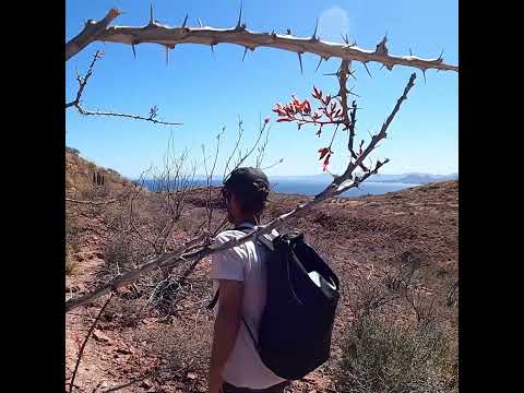 Isla San Francisco #anchor #sailing #sailboat #boating #islandlife #hiking