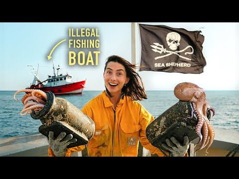 CAN SHE DO IT? 72 hours aboard a Sea Shepherd Boat (+ FULL Boat Tour)