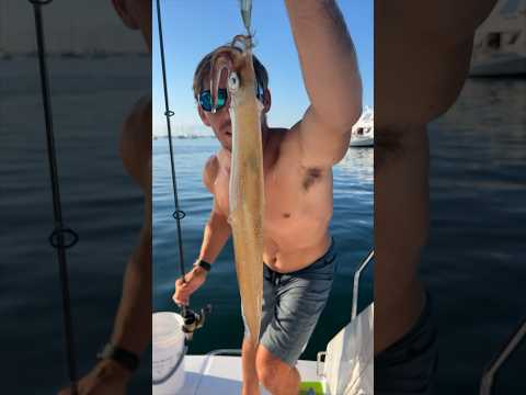 Catching and cooking squid living on our boat full time 🎣 ..#squidding #tulasendlesssummer