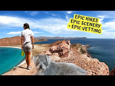 Epic Hikes and Stunning Islands (and Epic Vetting!) Chuffed Adventures S5Ep20