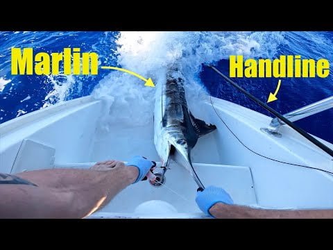 Simple Handline vs Expensive Rod & Reel