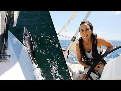 DOLPHINS Try and SAVE OUR YACHT | Tranquilo Sailing Around the World | Ep.108