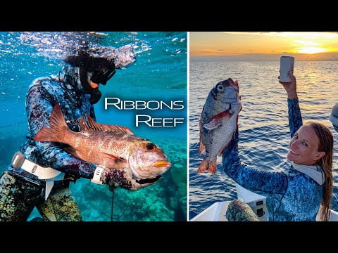 Ribbons Reef Bigeye Seabream (Mu) Catch & Cook (Sailing Popao) Ep.37