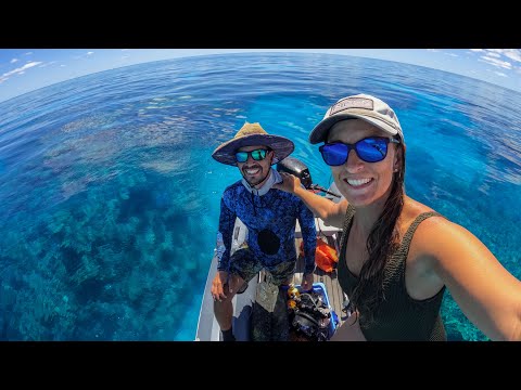 World Class Diving on the Great Barrier Reef (Sailing Popao) Ep.39