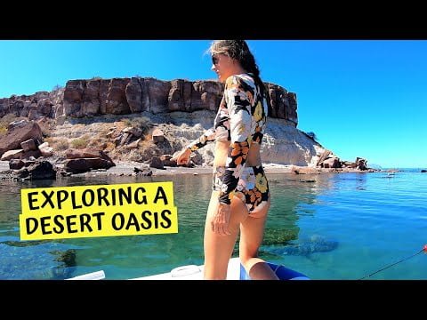 Off-Grid Desert Oasis in the Sea of Cortez: Chuffed Adventures S5Ep28